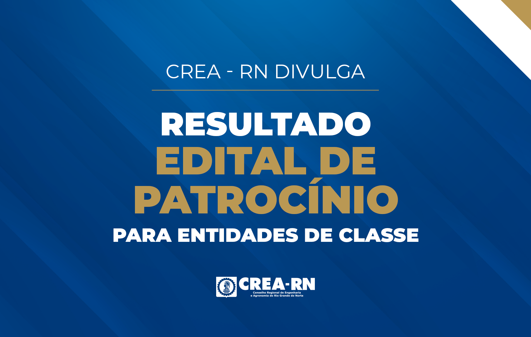 capa_reportagem.png