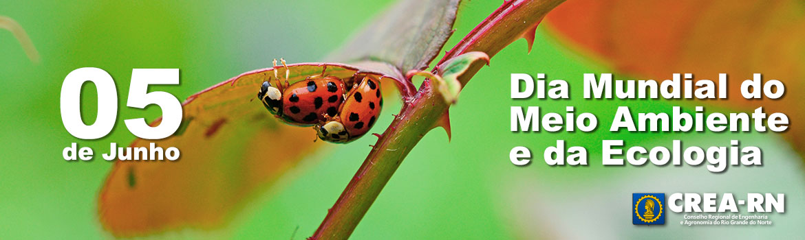5-de-junho-Dia-Mundial-do-Meio-Ambiente-e-da-Ecologia.jpg