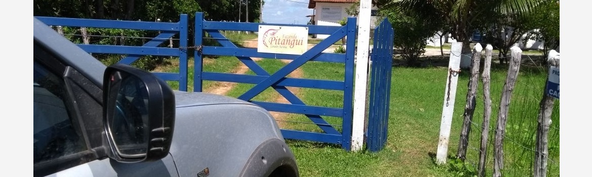 Crea-RN-retoma-fiscalizacao-na-area-de-Carcinicultura.jpg