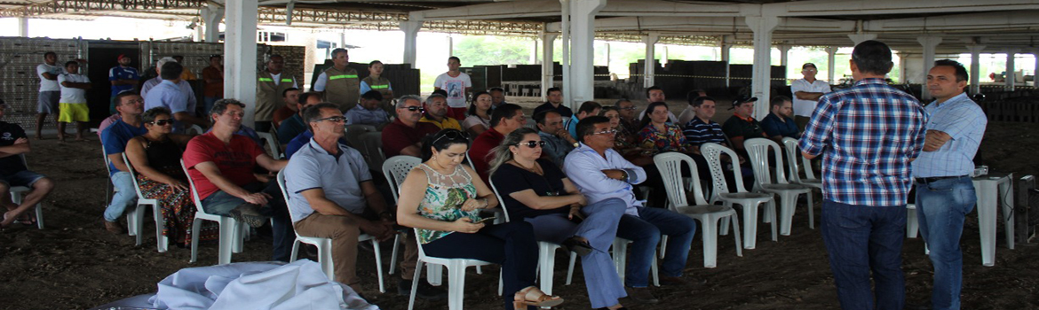 Engenheiro-potiguar-cria-forno-de-alta-eficiencia-e-maior-conforto-ao-trabalhador.jpg