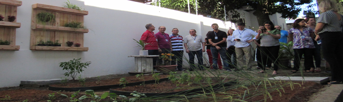 Horta-Comunitaria-marca-acao-no-Dia-do-Meio-Ambiente.jpg