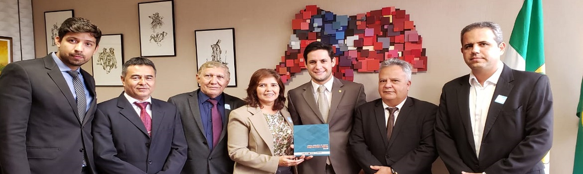 Presidente-do-Crea-RN-participa-de-acao-parlamentar-em-Brasilia.jpg