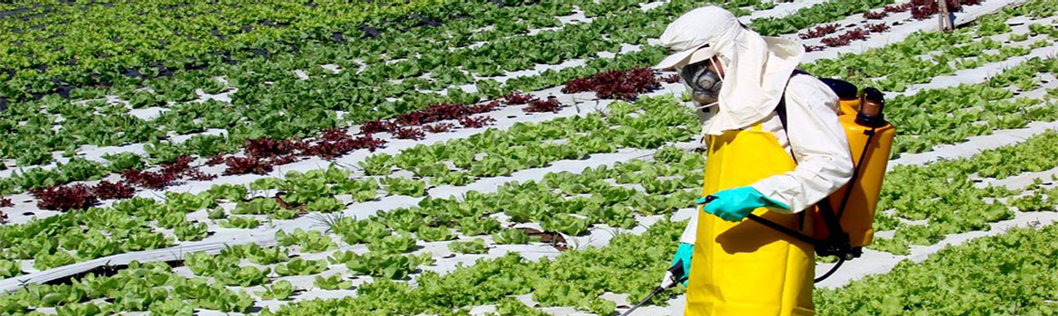 Profissionais-de-Agronomia-de-Mossoro-discutem-agrotoxicos.jpg